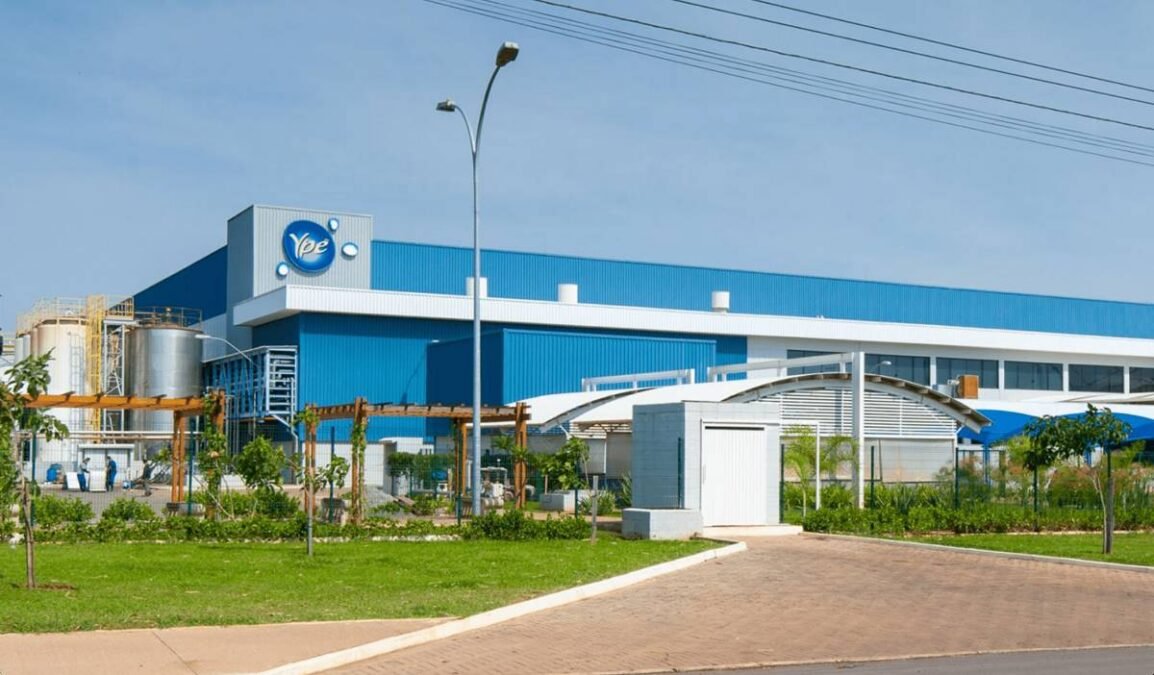 ypê