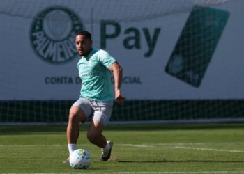 Palmeiras