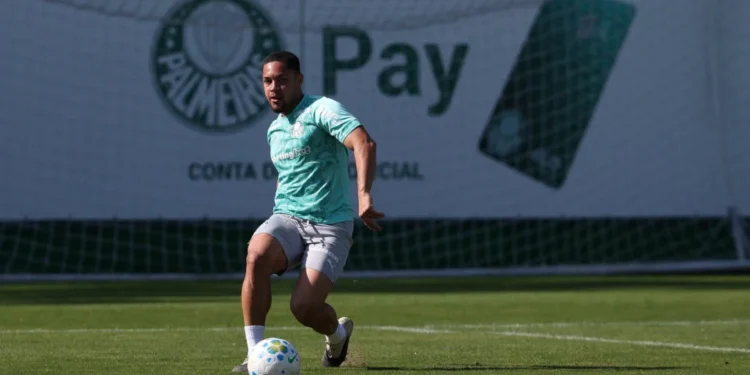 Palmeiras