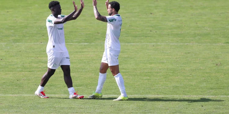 Palmeiras