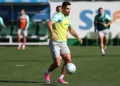 Palmeiras