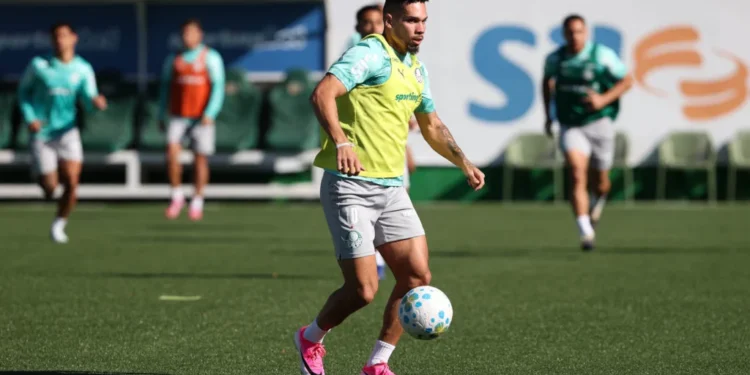 Palmeiras