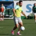 Palmeiras