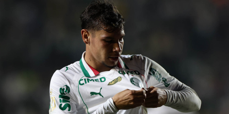 Palmeiras