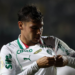 Palmeiras