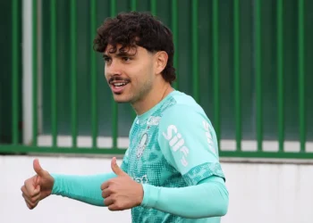 Palmeiras