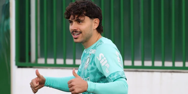 Palmeiras