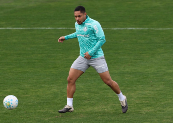 Palmeiras