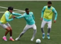 Palmeiras