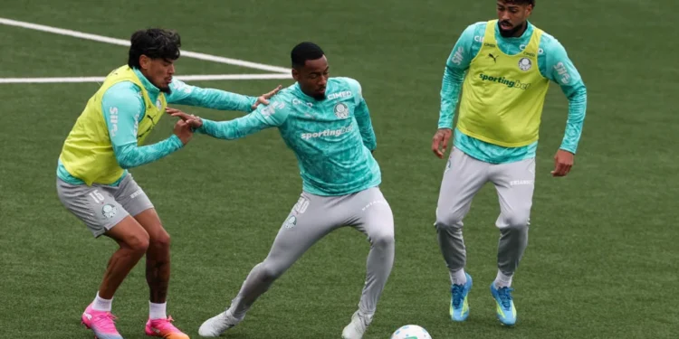 Palmeiras