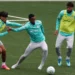 Palmeiras