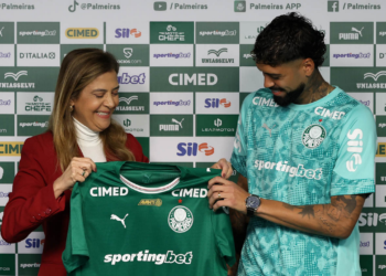 Palmeiras barboza