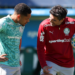 Palmeiras