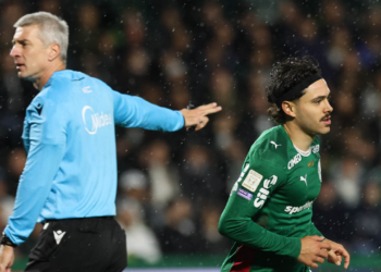 Palmeiras