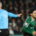 Palmeiras