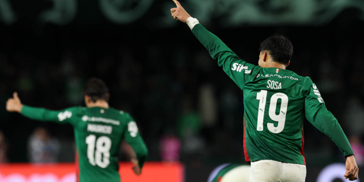 Palmeiras