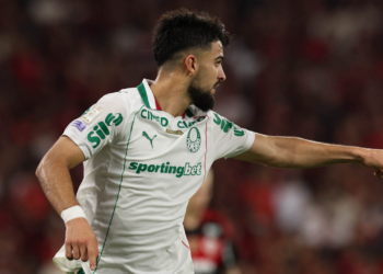 Palmeiras flaco lopez