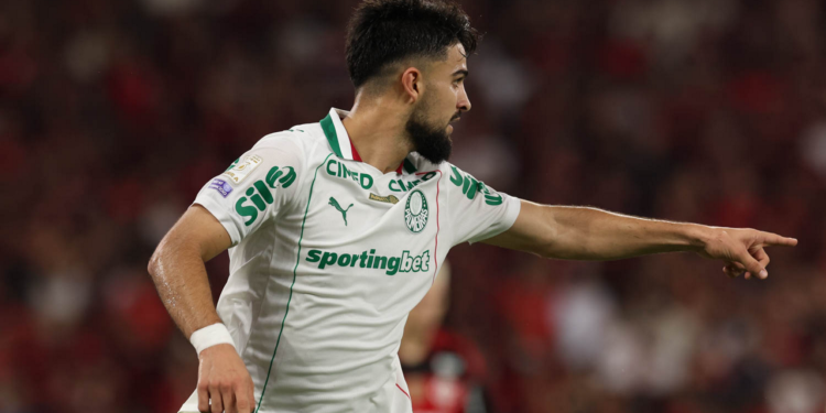 Palmeiras flaco lopez