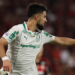 Palmeiras flaco lopez
