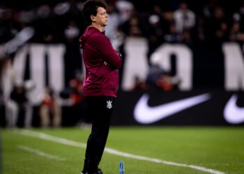 fernando diniz