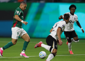 Palmeiras