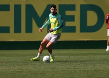 Palmeiras