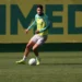 Palmeiras