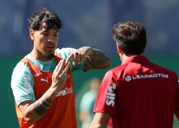 Palmeiras