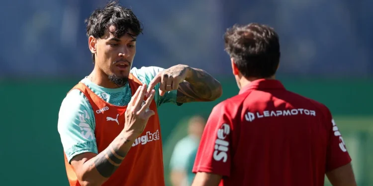 Palmeiras