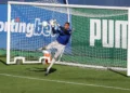 Palmeiras