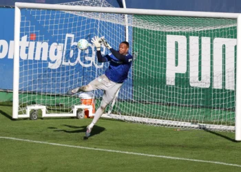 Palmeiras