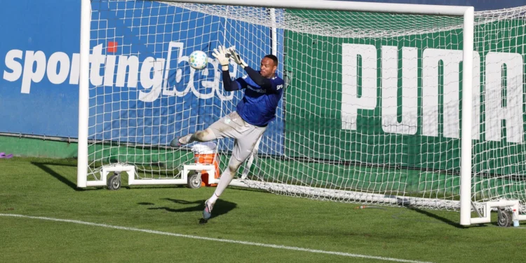 Palmeiras