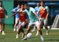Palmeiras