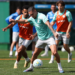 Palmeiras