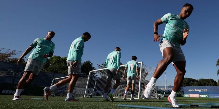 Palmeiras