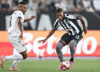 palmeiras danilo botafogo