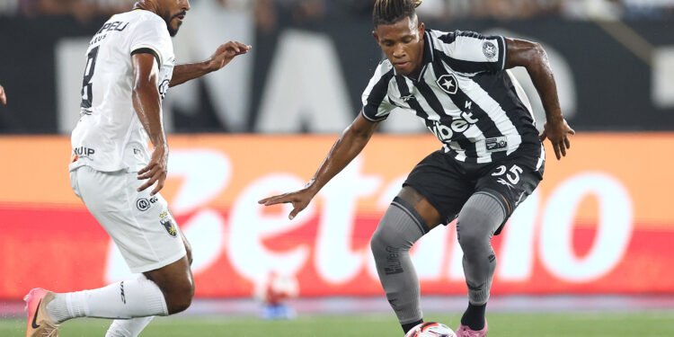 palmeiras danilo botafogo