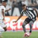 palmeiras danilo botafogo