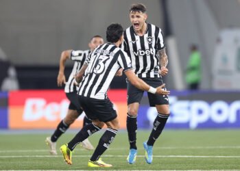 santos botafogo
