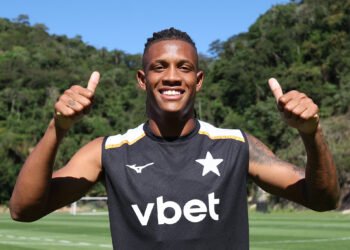 botafogo danilo palmeiras