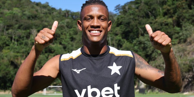 botafogo danilo palmeiras