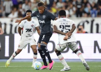 Botafogo palmeiras danilo