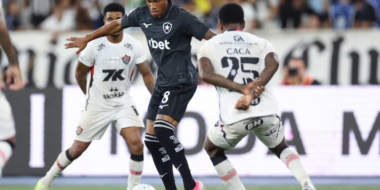 Botafogo palmeiras danilo