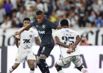 danilo botafogo palmeiras