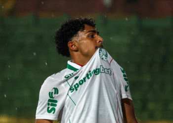 Palmeiras luighi