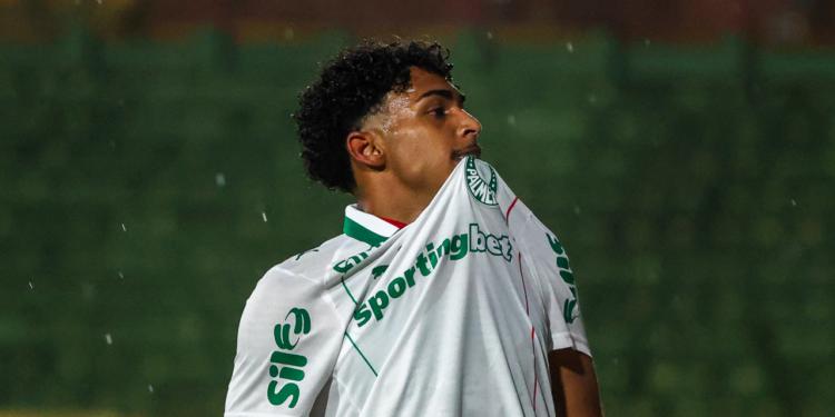 Palmeiras luighi