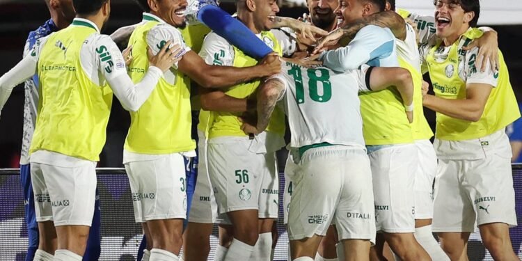 Palmeiras flamengo