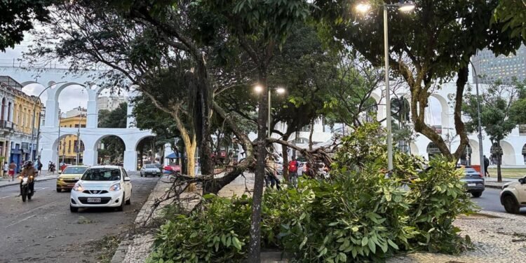 Estragos causados pela ventania no Rio de Janeiro.