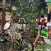 Destruição causada pela ventania no Rio de Janeiro
