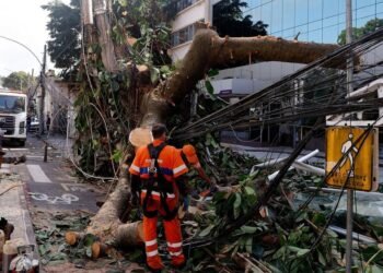 Estragos em Botafogo causados por vento forte
